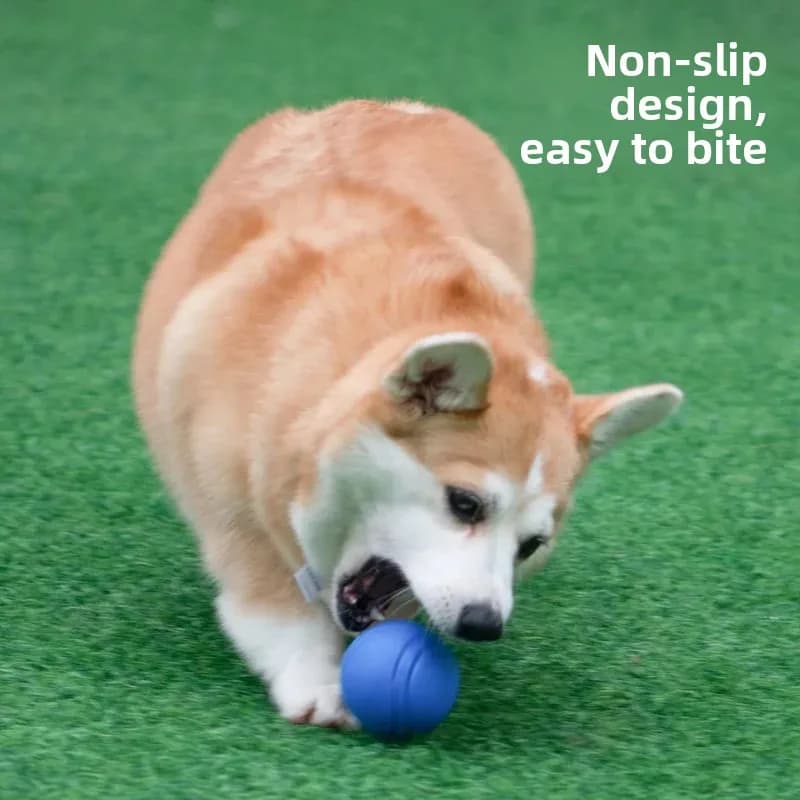 Durable Rubber Dog Toy Ball Interactive Teeth Grinding Pet Toys For Small And Large Breeds Direct Manufacturer Sales Exclusive M - 4