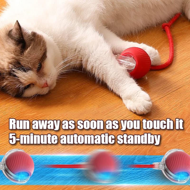 1PC Smart Cat Toys Automatic Rolling Ball Fake Tail Rechargeable Electric Pet Interactive toy Cat Training Imitate Mouse Tail - 3