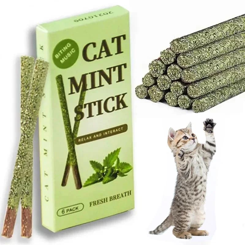 6pcs Natural Matatabi Cat Stick Mint Caught Bite Excited Rods Silvervine For Cat Teeth Cleaning Treating Pet Supply Cat Supplies