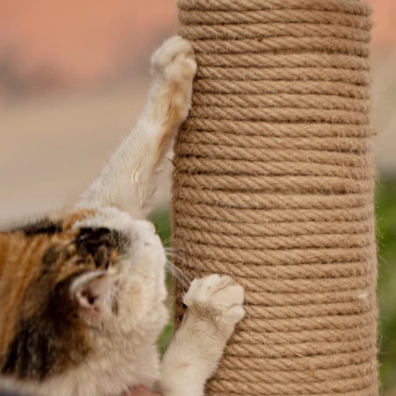 Twisted Jute Rope DIY Cat Scratcher Replacement Cat Tree Climbing Frame Binding Rope Durable Cat Scratching Toy Pet Supplies - 5