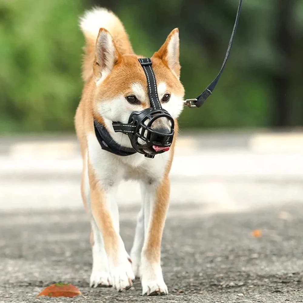 1pc/2pcs Adjustable Dog Muzzle Anti-Biting Dog Mouth Cover With Reflective Strip Can Drink Water Breathable Plastic - 6