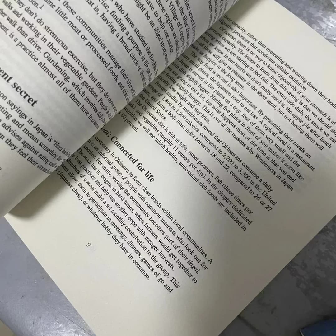 Ikigai ：The Japanese Secret Philosophy for A Happy Healthy By Hector Garcia Book Rebuilding Happiness - 3