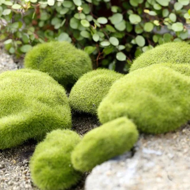 4 Size Green Fake Stone Artificial Moss Rocks Home Decor Simulation Plant DIY Decoration for Garden and Crafting листья розы - 5