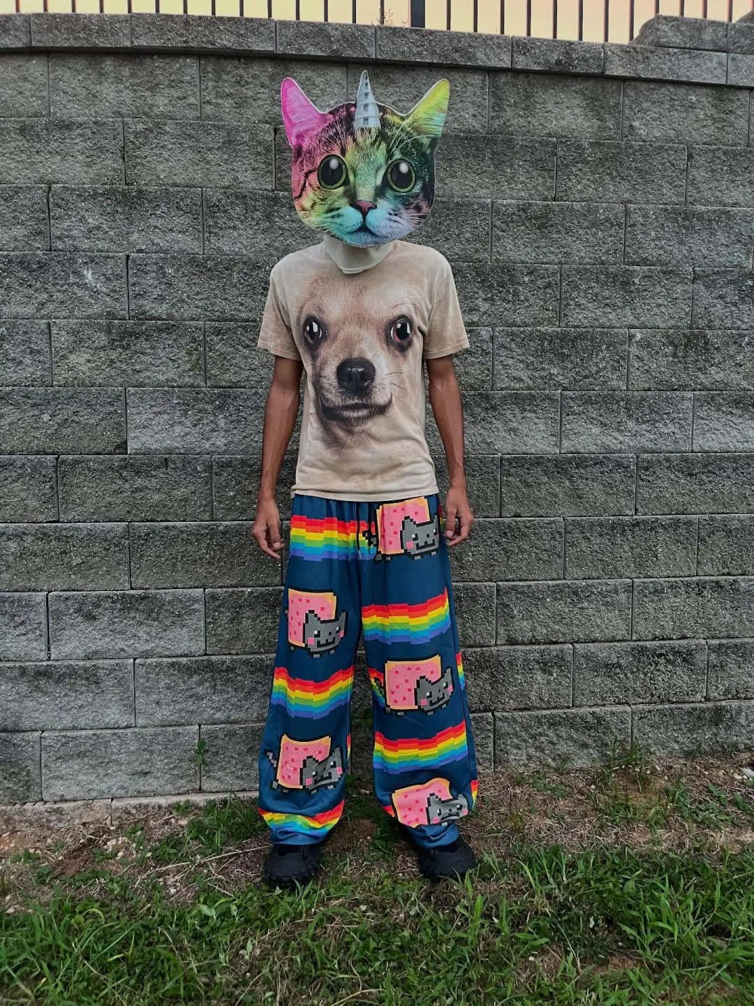 Nyan Cat Sweatpants Y2k Pants Baggy Men Elastic Waist American Streetwear Hip Hop Vintage Joggings Casual Pants Men Clothing - 5