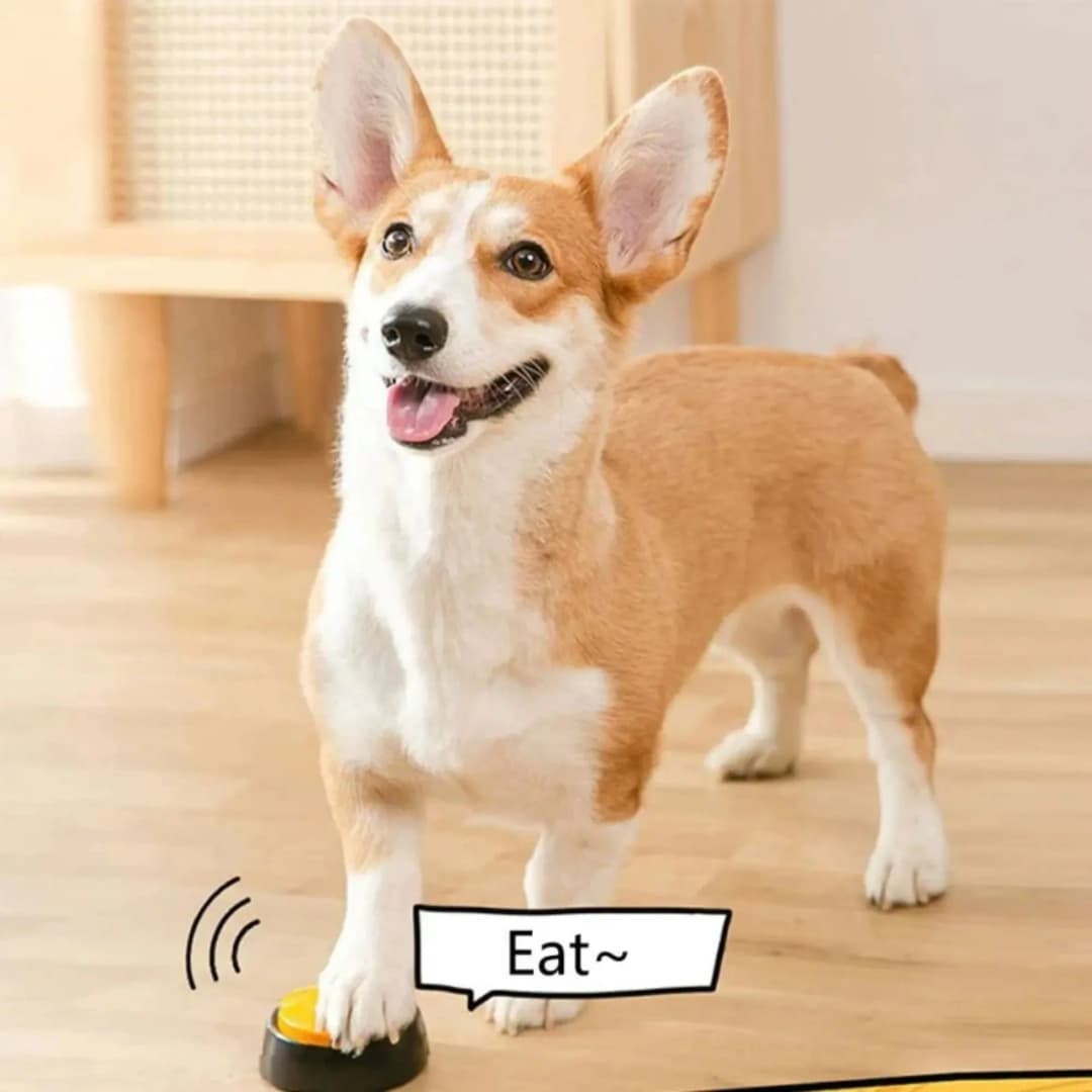 Dog Communication Buttons Voice Recording Button for Pet Training Buzzer  Record Playback Funny Gift for Talking Pet - 5