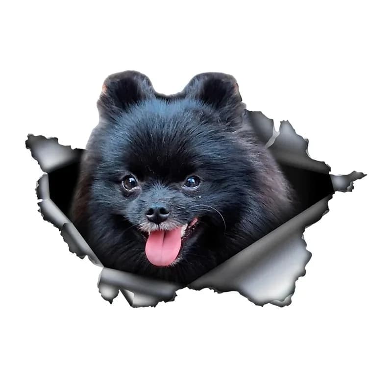 ملصق سيارة ثلاثي الأبعاد لكلب كافاليير كينج أسود وبني، إكسسوارات من مادة الفينيل المقاومة للماء 13 سم PVC KK - 3