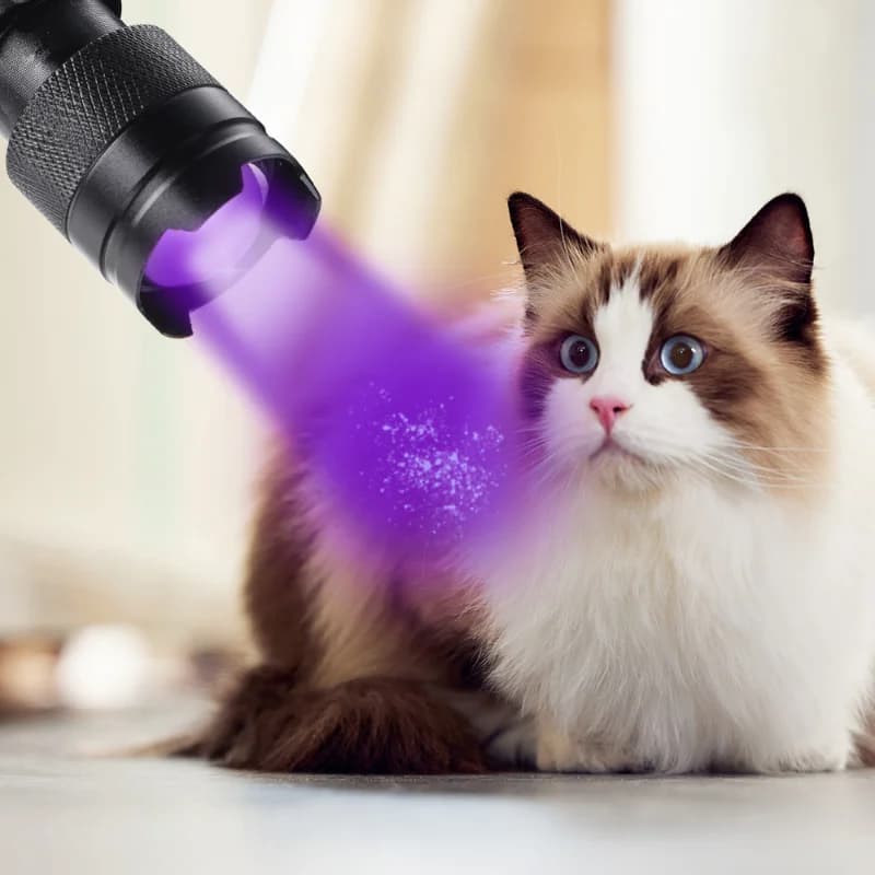 UV Flashlight Black Light Powerful Small Blacklight Flashlight UV Light Mini Black Light Flashlight Detector Light for Pet Urine - 2