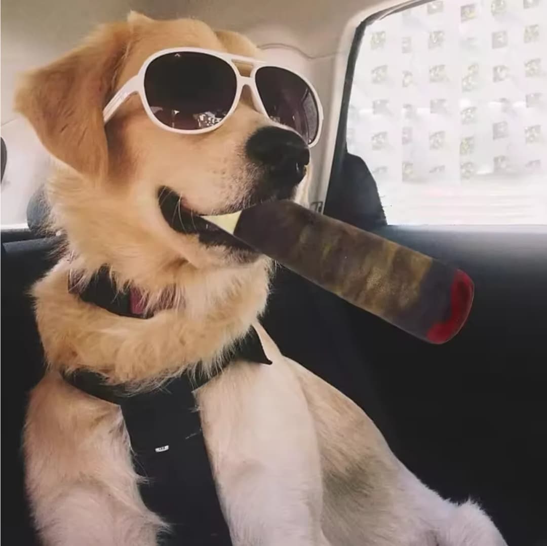 ألعاب الكلاب التفاعلية المضحكة - تصميم السيجار، ألعاب الحيوانات الأليفة المصنوعة من القطيفة التي تصدر صوتًا، لعبة المضغ الإبداعية للكلاب الصغيرة والمتوسطة - 4