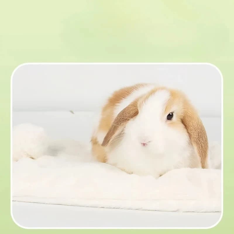Rabbit Bed Pad-Faux Fur Rectangular Sleeping Mat with Cotton Filling,Warm Winter Pet Supplies for Rabbits, Chinchillas, Hamsters - 2
