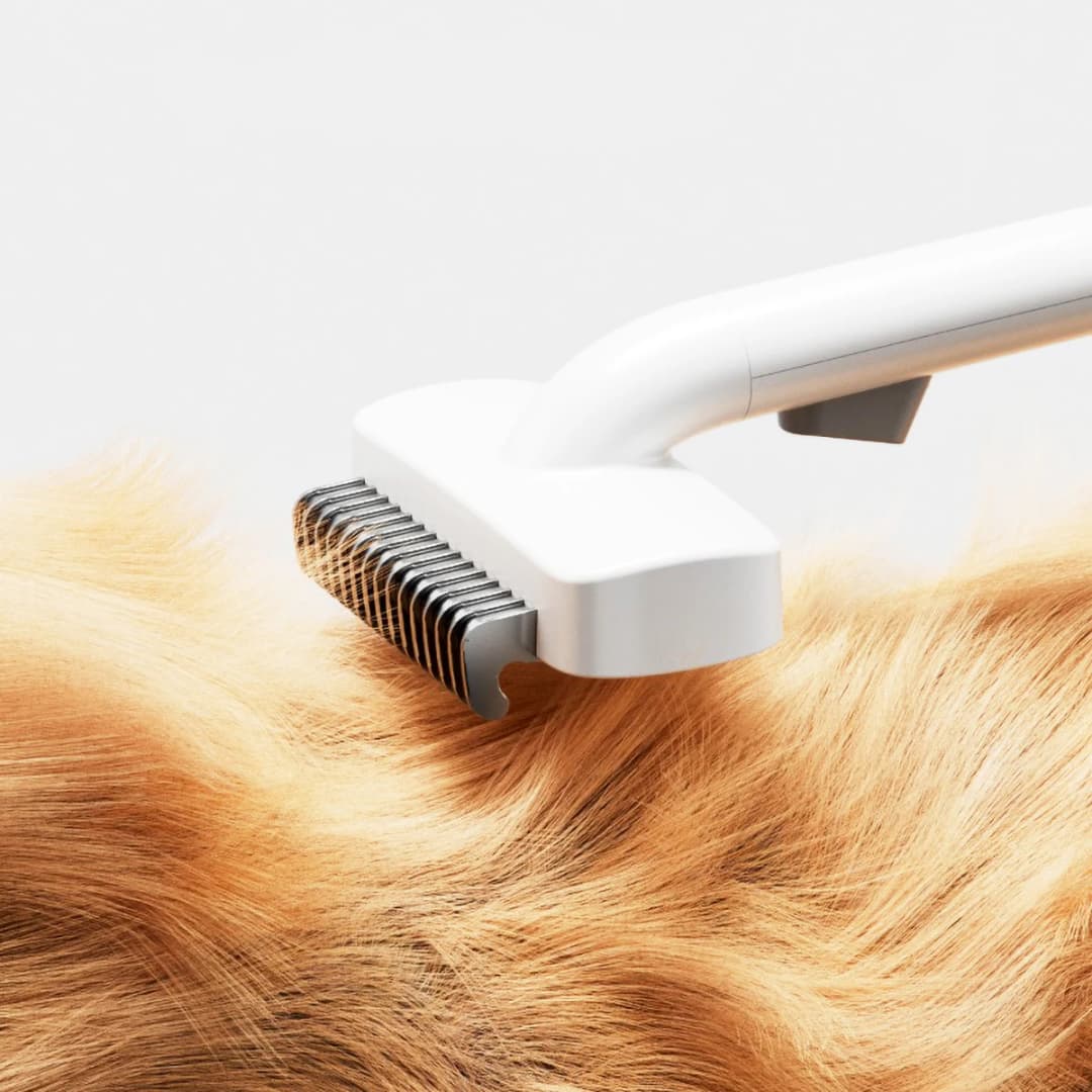 Efficient Pet Hair Removal Brush Designed For Cats Dogs The Stainless Steel Teeth Gently Remove Loose Hair Suitable For Any Pets - 3