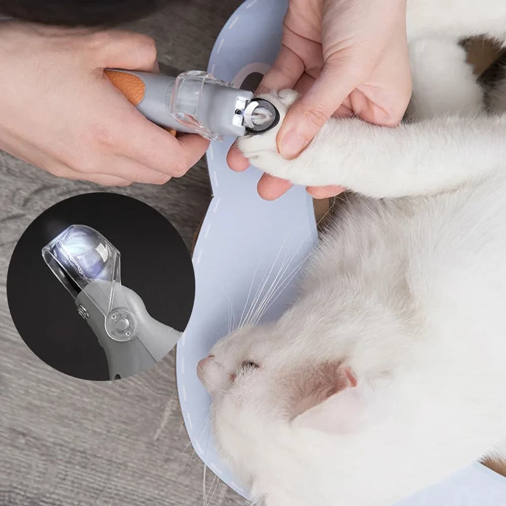 Professional Pet Nail Clipper Scissors With LED Light Cat Dog Nail Clipper Tool Scissors Nail Toeclaw Cutter Scissors Pet Supply - 5