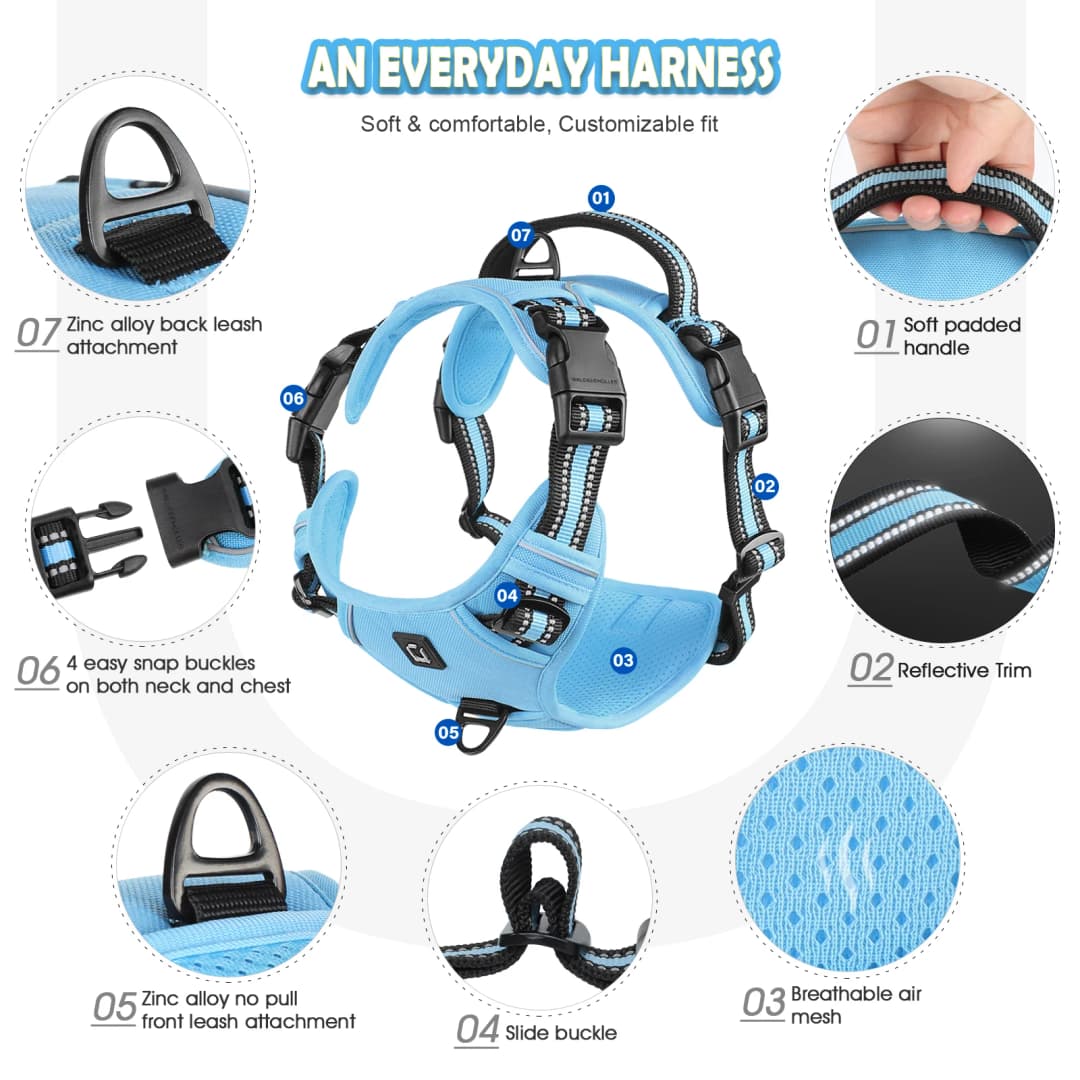 Dog Harness and Leash Combo, Escape Proof No Pull Vest Harness, with 5 Feet Leash, Reflective Adjustable Soft Padded Pet Harness - 4