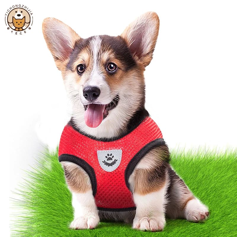 New Cat Harness Vest Walking Leash For Puppy dog Collar Polyester Adjustable Mesh Dog Harness For Small Medium Pet Accessories - 3