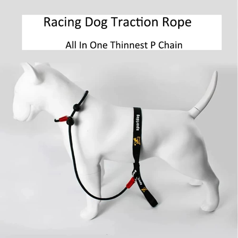 Training Dog Choking Rope Leash 2 in 1 Lead Collar 150cm P-Shaped Chain Slip Lead Control Leash for Small Large Competition Dogs - 2