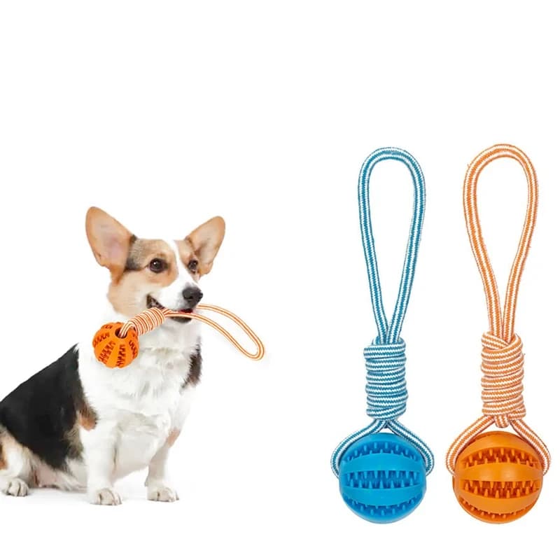 Leash dog toy Rubber leaky ball Pet products Grinding teeth cleaning teeth bite resistant Large, small dog interactive toy - 6