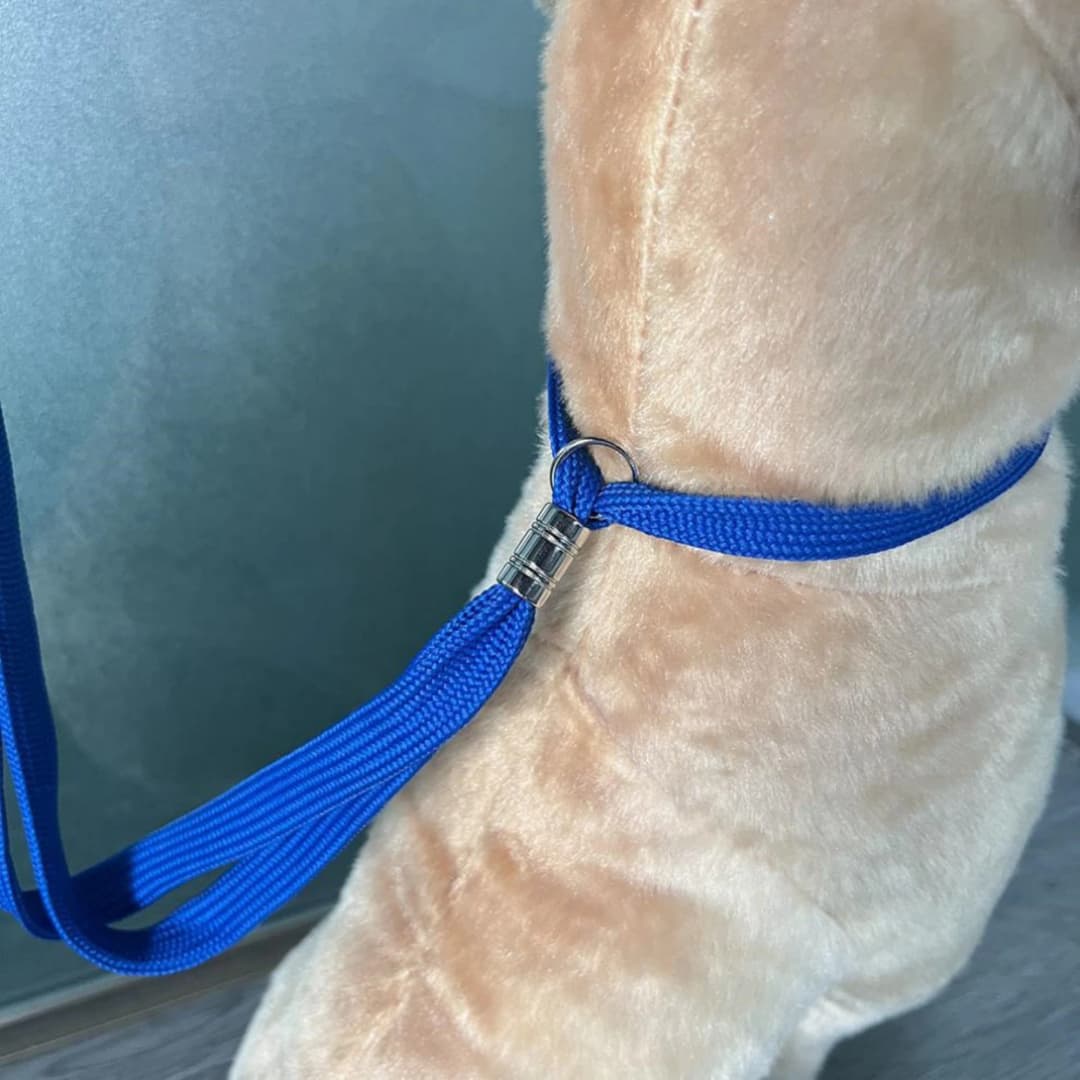 Pet Grooming Loops Dog Bathing Fixer Traction Rope Pet Cat Noose Dog Beauty Table Sling Adjustable Restraint Suction Cup Hook - 6