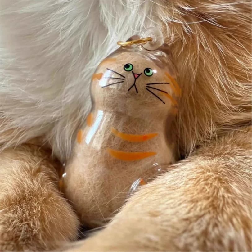 صندوق تخزين شعر الحيوانات الأليفة، حاوية تذكار شفافة لفرو القطط، هدية تذكارية لمحبي الحيوانات الأليفة للاستخدام المنزلي