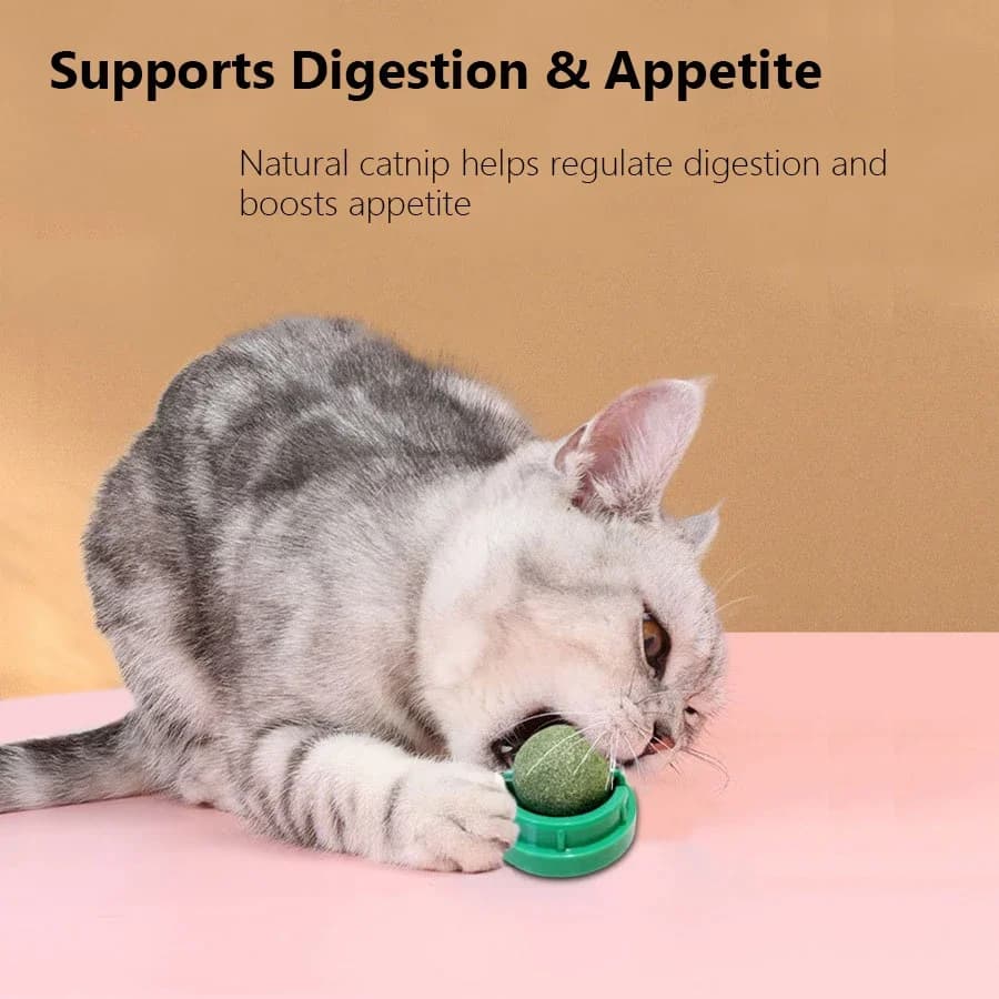 Spinning Catnip Mint Ball for Cats, Interactive Dental Care Chew Toy with Natural Catnip, Hairball Control Kitten Cat Toys - 4