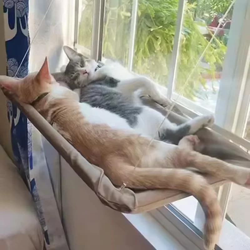 الشتاء نافذة القط أرجوحة معلقة السرير شفط كأس الفضاء توفير جميع الفصول سهلة التركيب سرير الحيوانات الأليفة القط تسلق الإطار