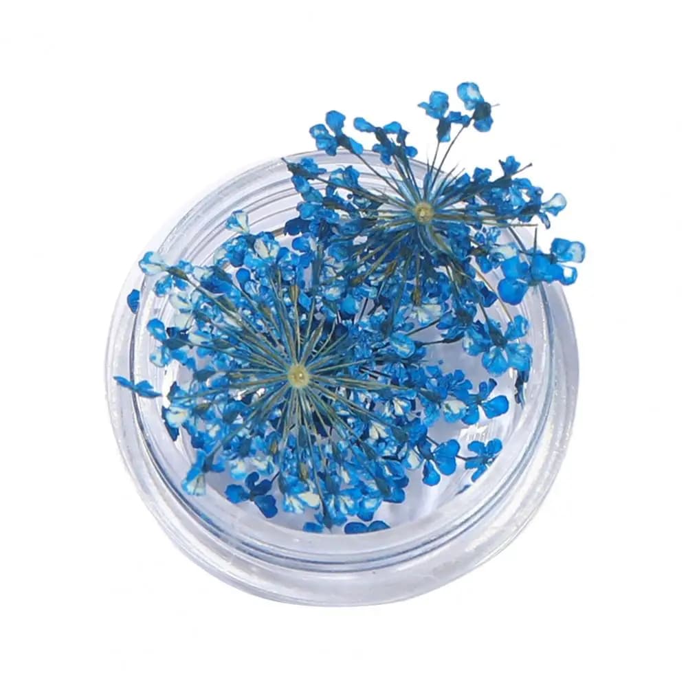 علبة واحدة زخارف أظافر أنيقة بكمية كافية زهور مجففة زينة أظافر تصاميم مانيكير - 4