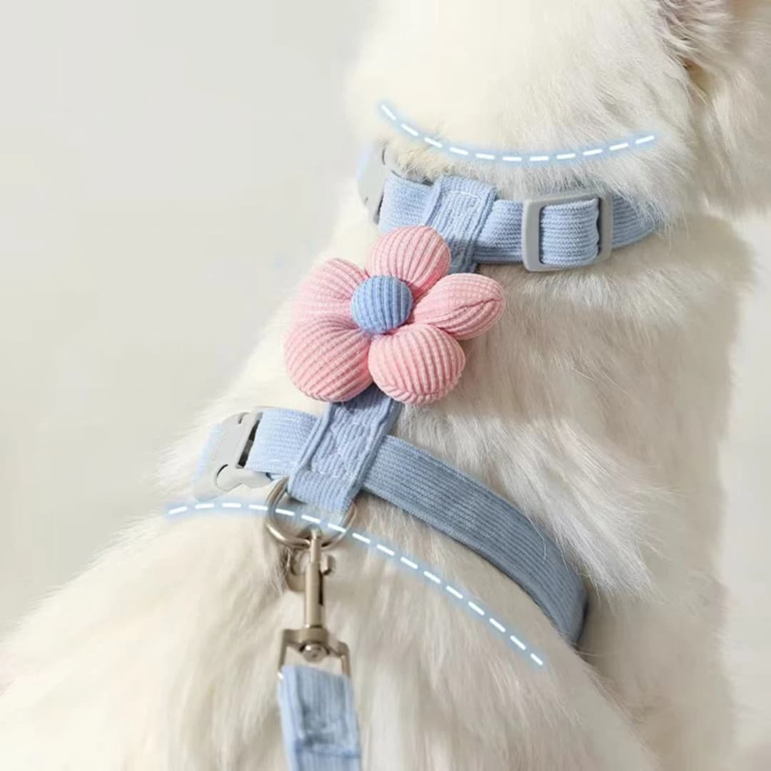 Cat Harness and Leash Sets Adjustable Dog Harness for Small Dog Leash Breashable Pet Harness Out Walking Dog Strap Cat Accessory - 3