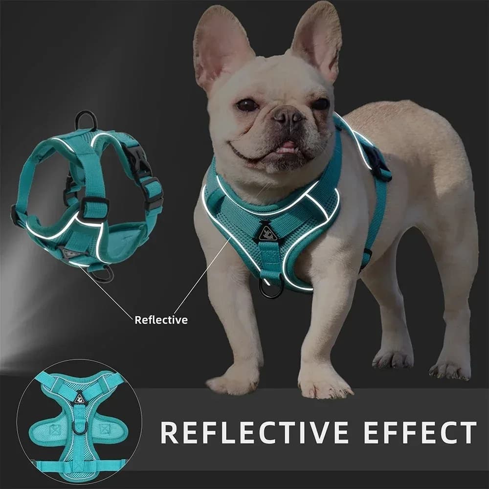 No Pull Dog Harness and Leash Set Adjustable Pet Harness Vest for Small Dogs Cats Reflective Dog Chest Strap Lead Walking - 5