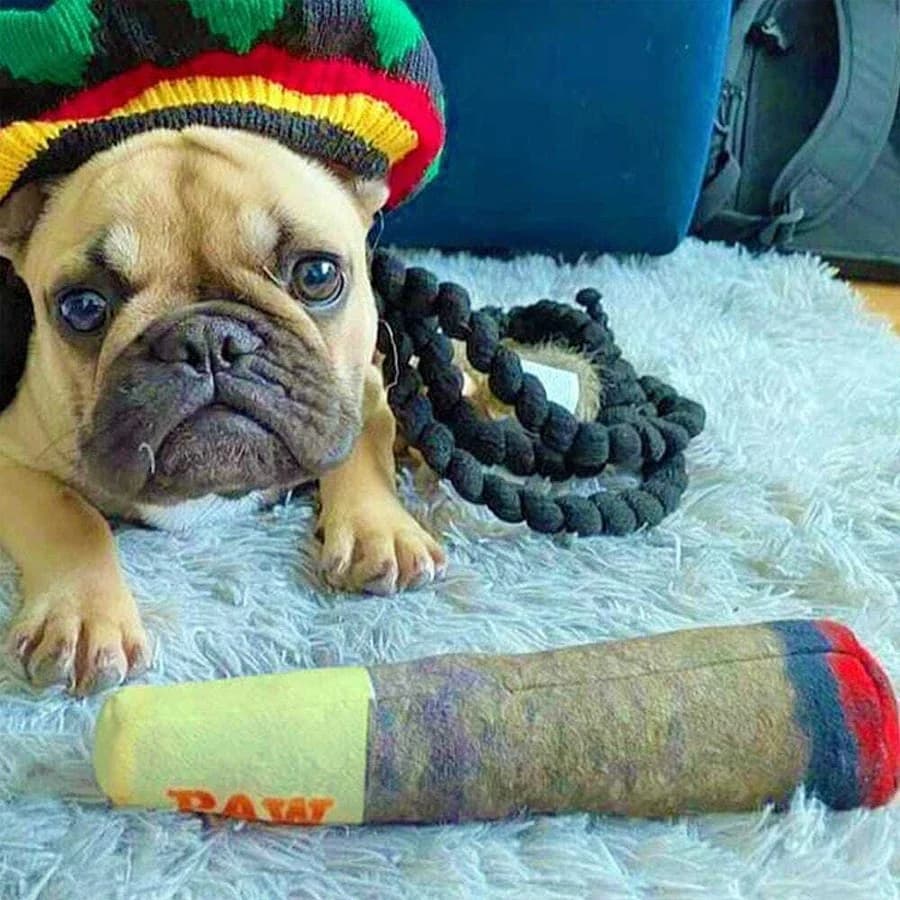 Funny Cigar Plush Squeaky Interactive Dog Toys Design Squeaky Pet Toys Grinding Teeth Creative Chew Toy for Small Medium Dog - 5