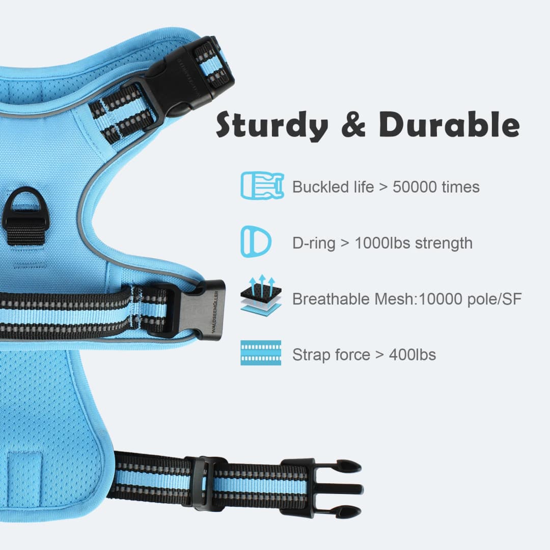 Dog Harness and Leash Combo, Escape Proof No Pull Vest Harness, with 5 Feet Leash, Reflective Adjustable Soft Padded Pet Harness - 5
