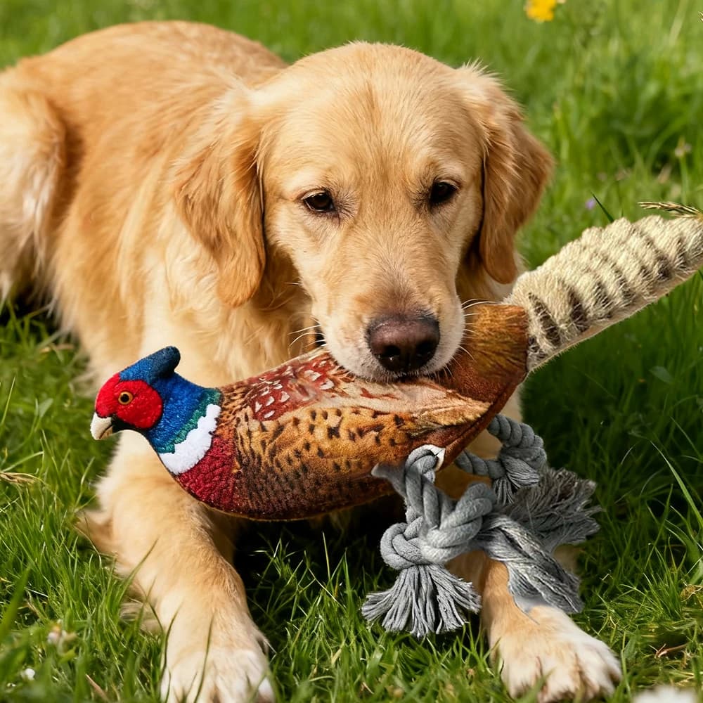 Plush Toy for Cats and Dogs: Lifelike Pheasant, Tear-Resistant Knotted Toy, Washable, Interactive Companion Toy for Pets - 4