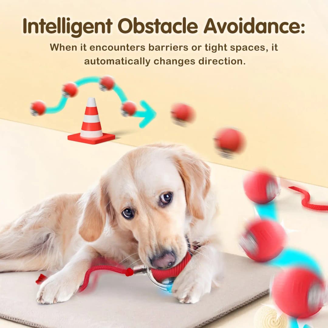 This interactive spherical toy for cats features an automatically rotating tail ball design and isarechargeable electric pet toy - 5