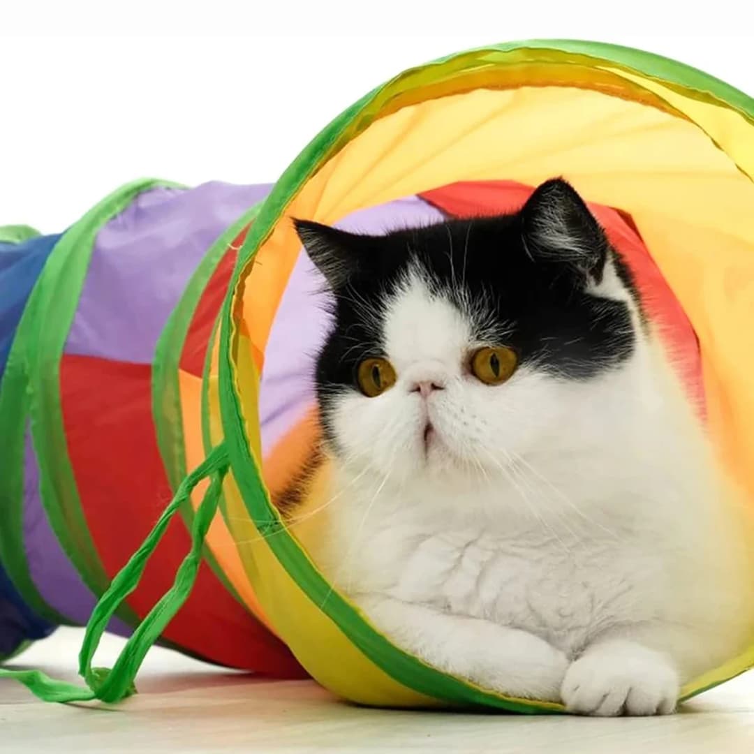 Cat Tunnel Tube Foldable Cat Toys Kitty Training Interactive Fun Toy Tunnel Bored for Puppy Kitten Pet Supplies Cat Accessories - 3