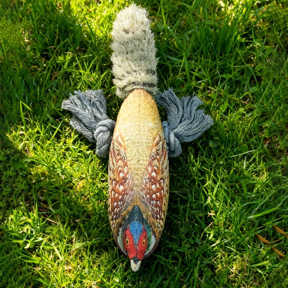 Plush Toy for Cats and Dogs: Lifelike Pheasant, Tear-Resistant Knotted Toy, Washable, Interactive Companion Toy for Pets - 5