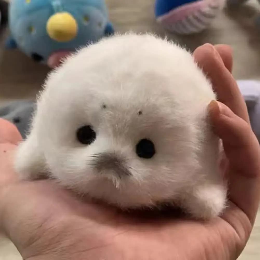 Cute Seals Plush Keychain Soft Kawaii Seal Plushie Animal Pendant Car Ornaments Fashion Stuffed Doll Keyring Car Key Accessories - 5