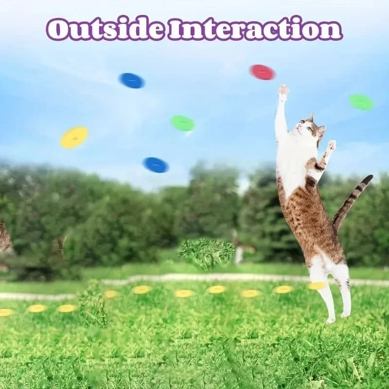 Funny Cat Toys Creative Turnip Gun with 15pcs Reusable Foam Disc Pet Hunting Interactive Toy Dog Cat Pet Supplies - 3