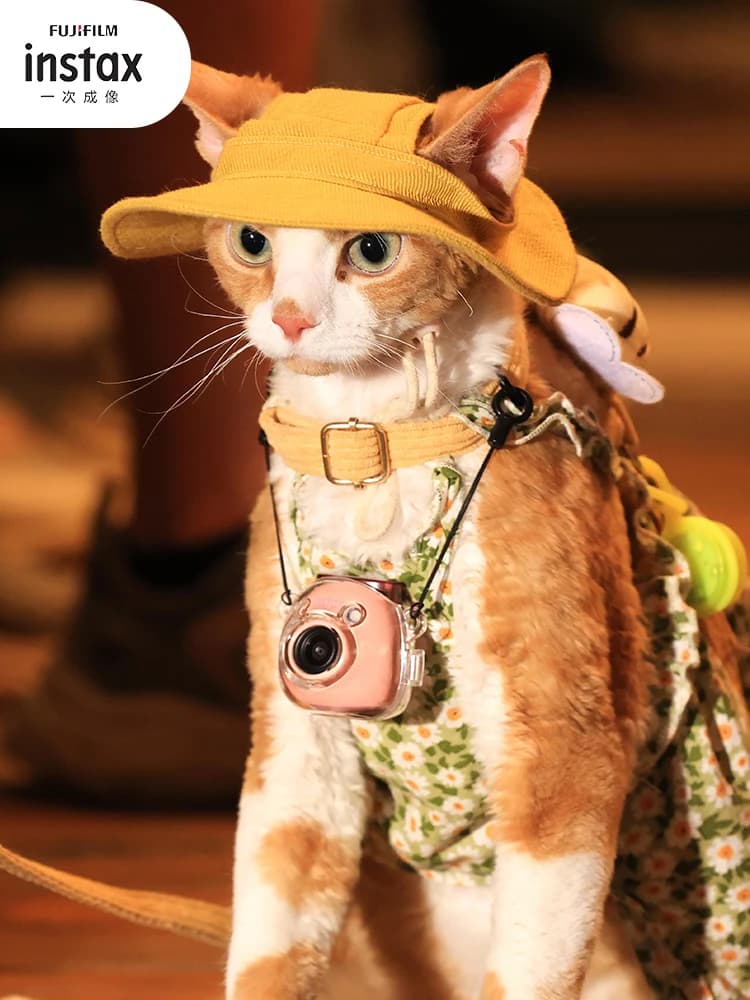 Fujifilm Instax Pal Smart Camera Small and Portable Smart Cute Mini Camera Photography Genie Pal Ready to Take Birthday Gifts - 5