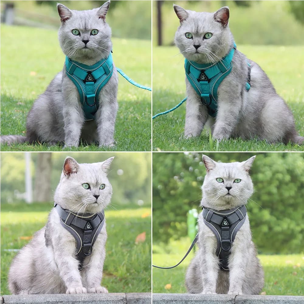 Harness and Leash Set Pet Accessories Dog Harness For Small Dog French Bulldog Pug Pitbull Puppy Pectoral Collar Chiens Supplies - 6