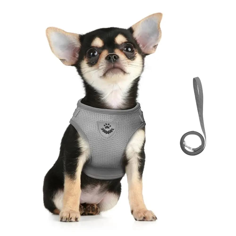 Cat Harness Lead Leash Set Adjustable Reflective Escape Proof Pet Mesh Vest Harness Puppy Dog Collar Small Dog Cat Pet Supplies - 4