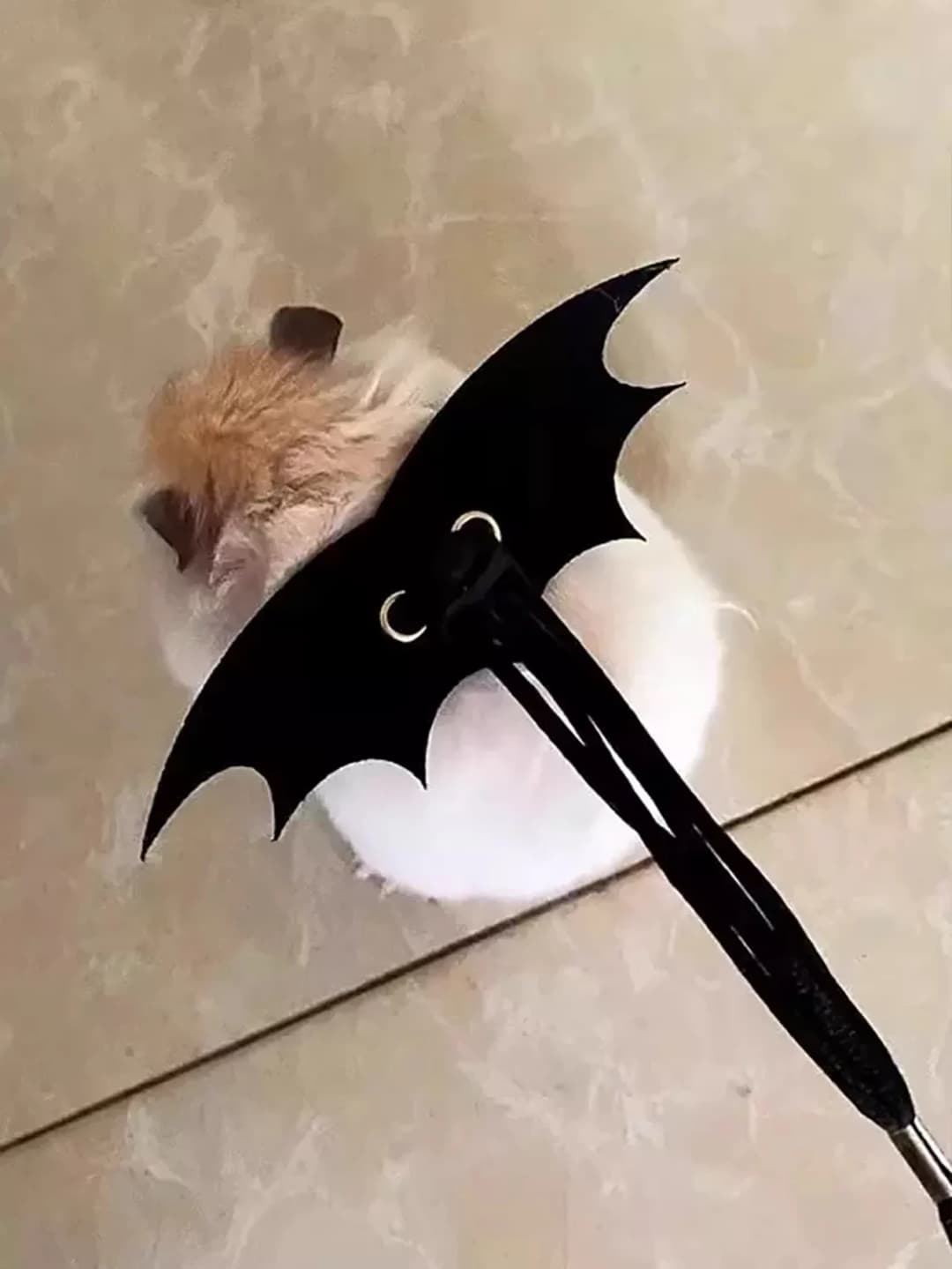 حبل جر للحيونات الصغيرة مثل الهامستر، حزام خروج مع فرع زهرة للهامستر - 5