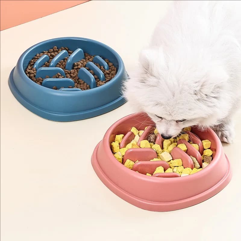 Pet Supplies Dogs and Cats Slow Food Bowl Puzzle Non-Choking Non-Slip Slow Feeder Thickened Plastic Plate Bowl Pet Feeding Bowl - 3