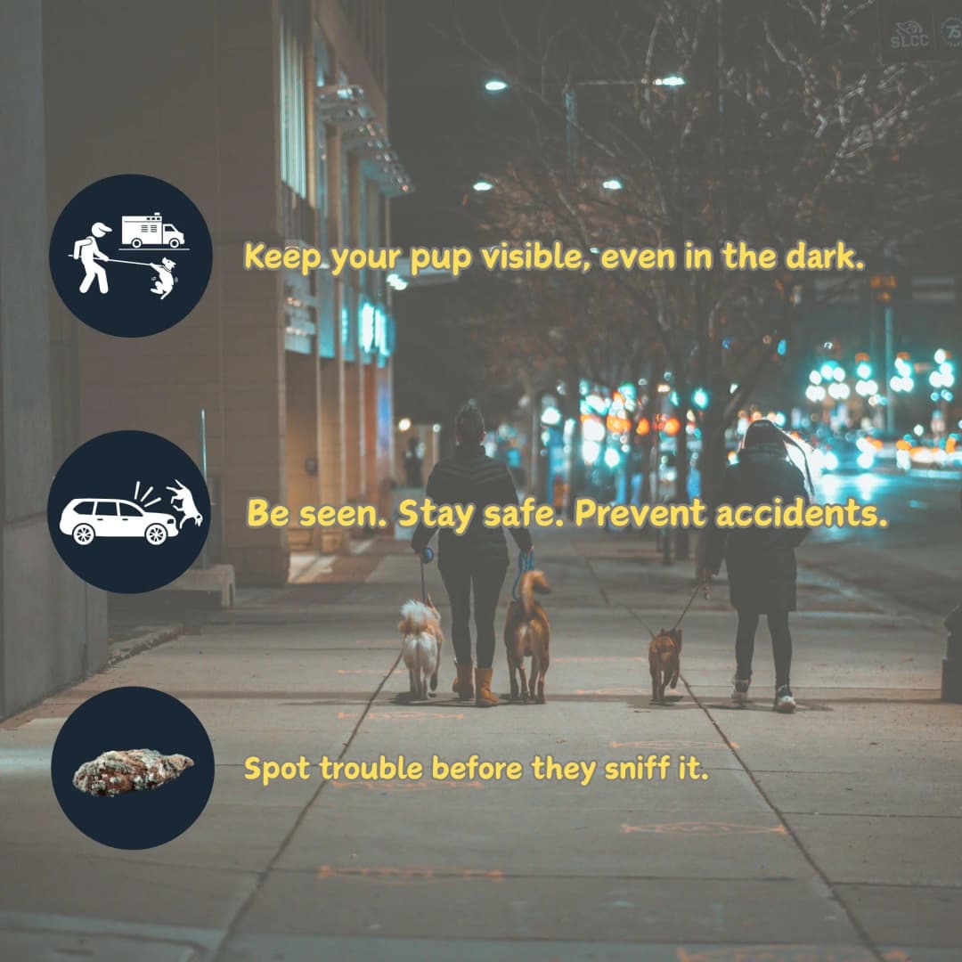 مقود كلاب مضيء قابل للسحب، 16 قدمًا، قابل للتعديل، مثالي للكلاب المتوسطة والكبيرة، مناسب للمشي والجري ليلًا - 6