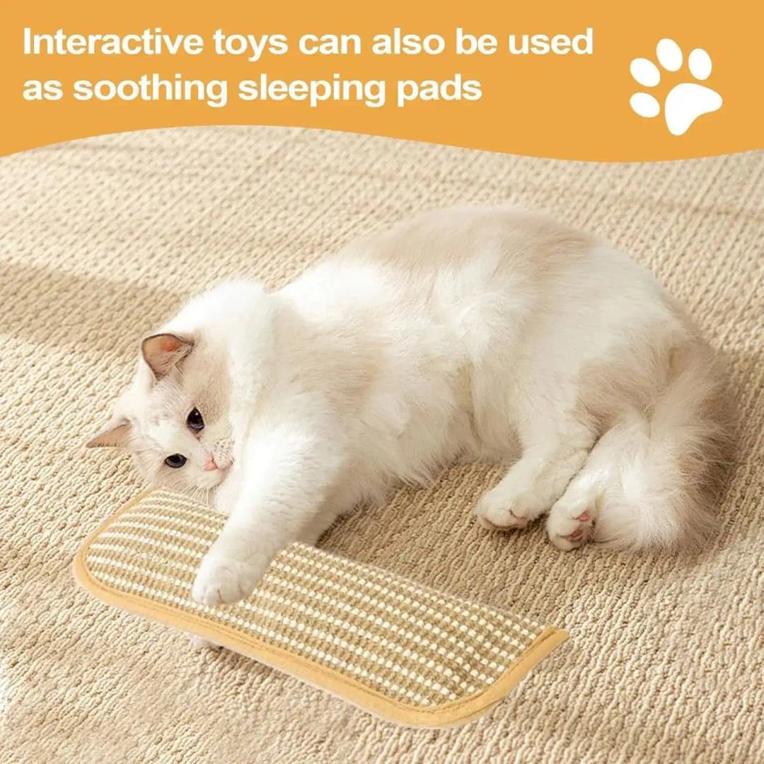 Cat Scratcher Interactive Toys for Cat Catnip Pillow Kitten Claw Grinder Scratching Post for Cats Chew Bite Toys Catnip Toy - 2