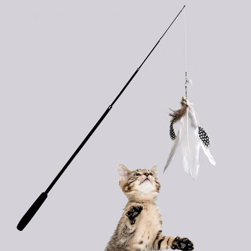 Extra Long 1.8m Telescopic Cat Stick Extended Fishing Rod Feather Cat Toy for Scratching And Boredom Relief - 4