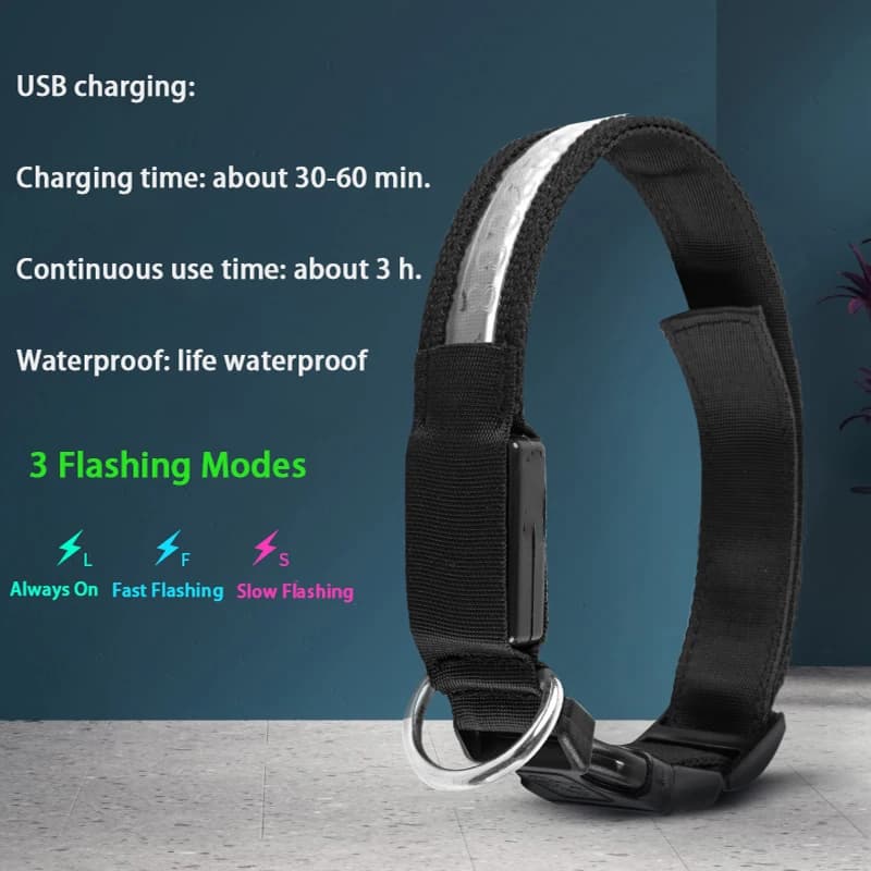 Engraved ID LED Dog Collar Luminous USB Custom Dog Tag Personalized Nylon Pet Dog Collar Led USB Light Night Safety Collar Perro - 2