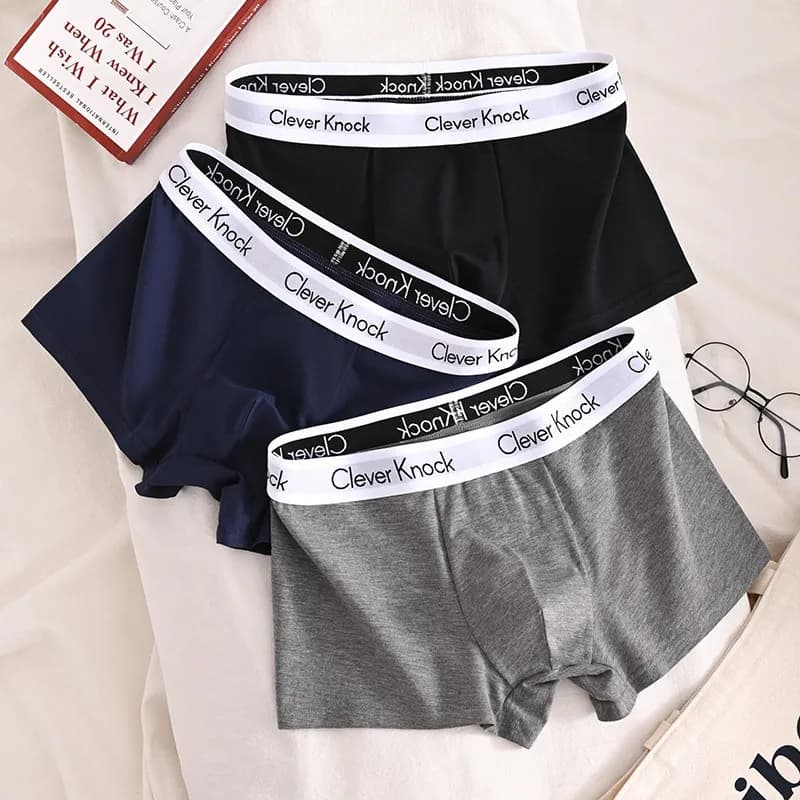 1/3PCS Cotton Men's Boxer Shorts Solid Plus Size Sexy Underpants Male Breathbale Lingerie Soft Comfort Daily Wear Panties - 3