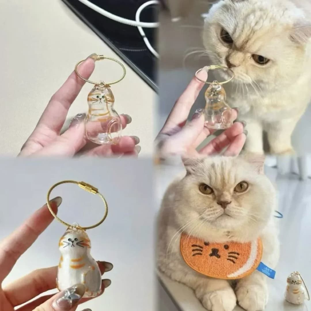 Pet Hair Memorial Keepsake Box & Bottle - Transparent Storage Container for Cat Fur, DIY Decor Gift for Pet Lovers Home Display - 5