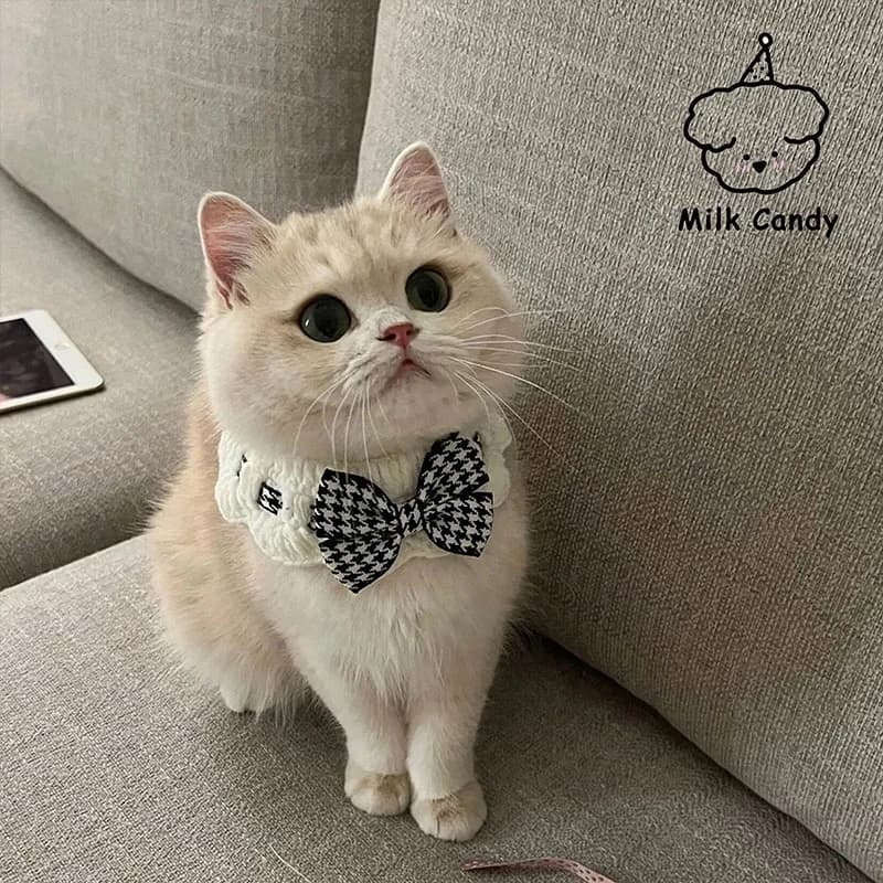 طوق كلب من حرير اللؤلؤ مع ربطة عنق، إكسسوارات زفاف للحيوانات الأليفة، هدية ساتان جديدة - 4