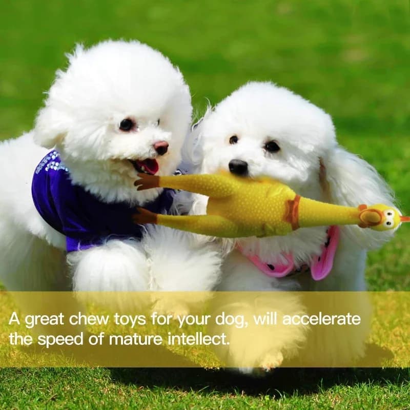 Screaming Chicken Squeeze Sound Toy Pets Dog Toys Product Shrilling Decompression Tool Squeak Vent chicken Chicken Interesting - 3