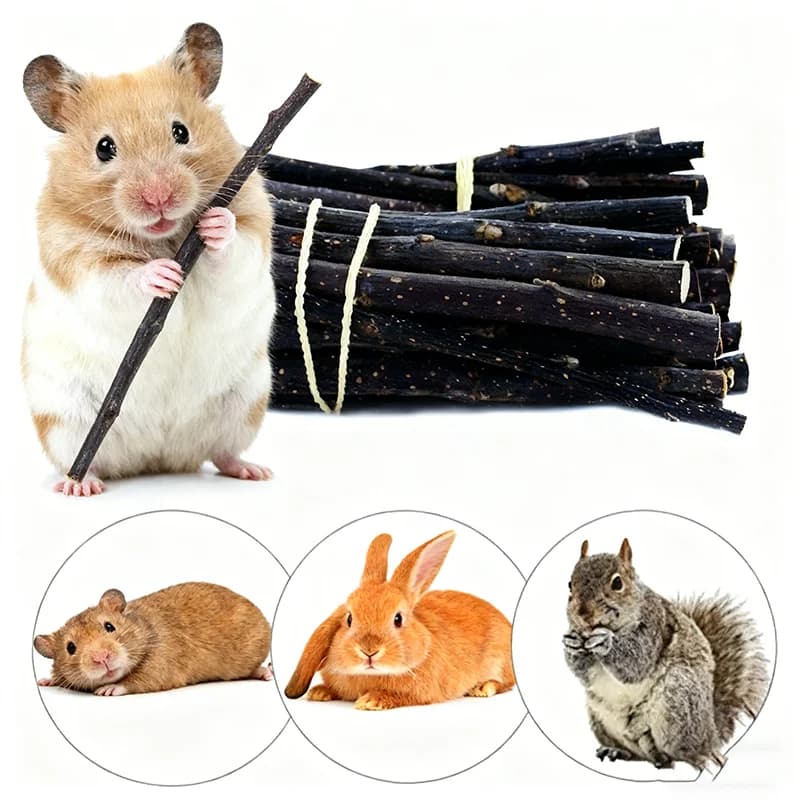 عصي مضغ من خشب التفاح الطبيعي، لتنظيف الأسنان، للحيوانات الصغيرة مثل الأرانب والهامستر