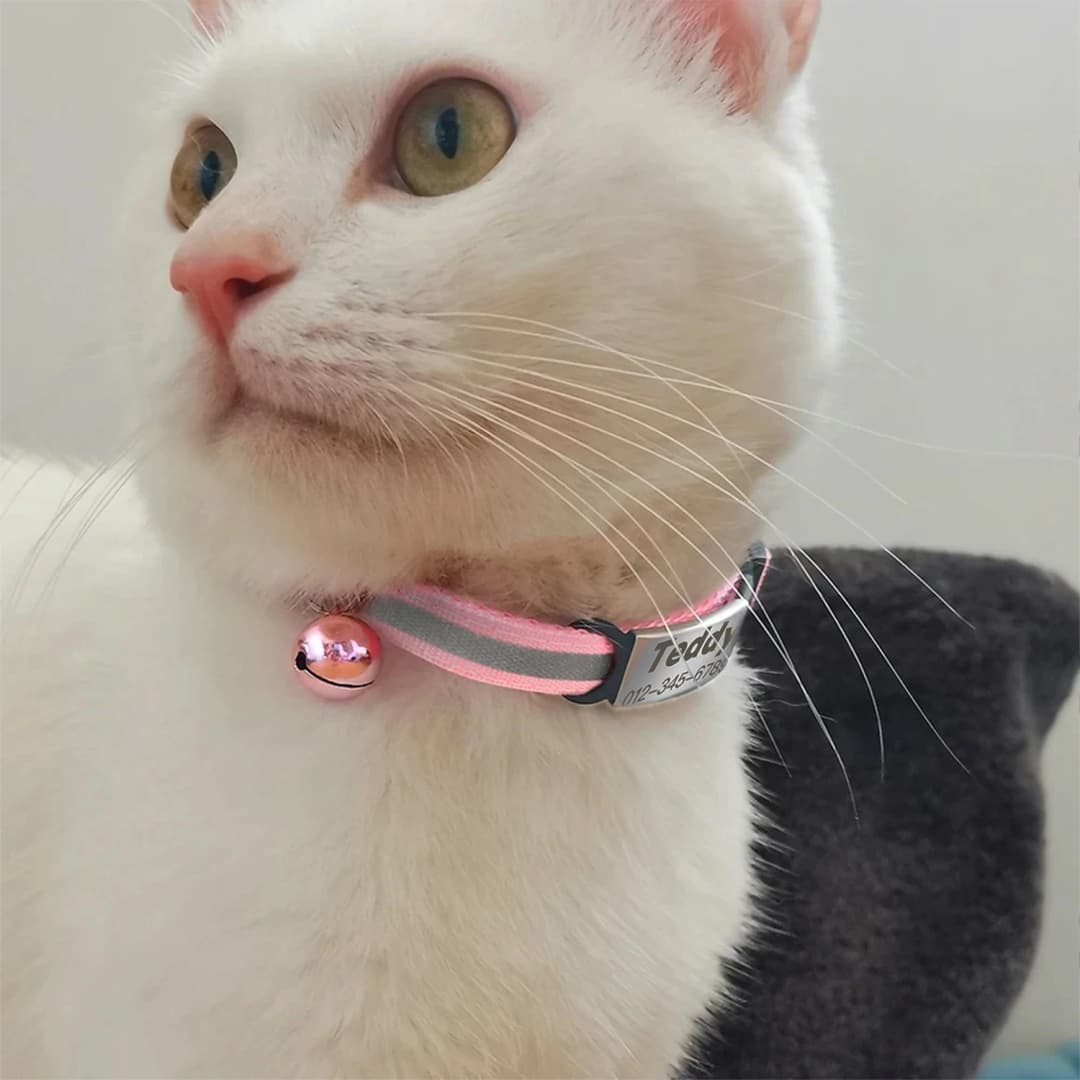 Customized Pet Collar Reflective Cat Collars Free Engraved Puppy Kitten Pet ID Nameplate Necklace With Bell Anti-lost For Cats - 4