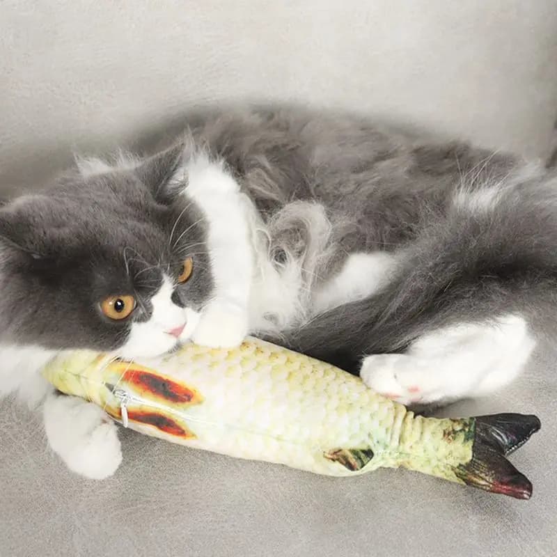 Pet Plush Cat Catnip Toy Teeth Teasing Cat Toy Simulated Fish Cat Fish Throw Pillow - 4